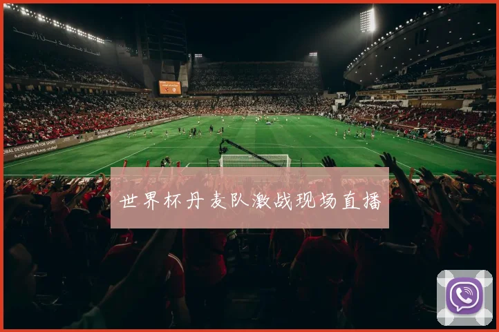 世界杯丹麦队激战现场直播