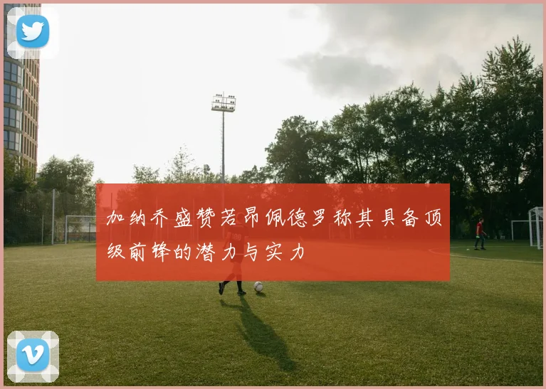 加纳乔盛赞若昂佩德罗称其具备顶级前锋的潜力与实力