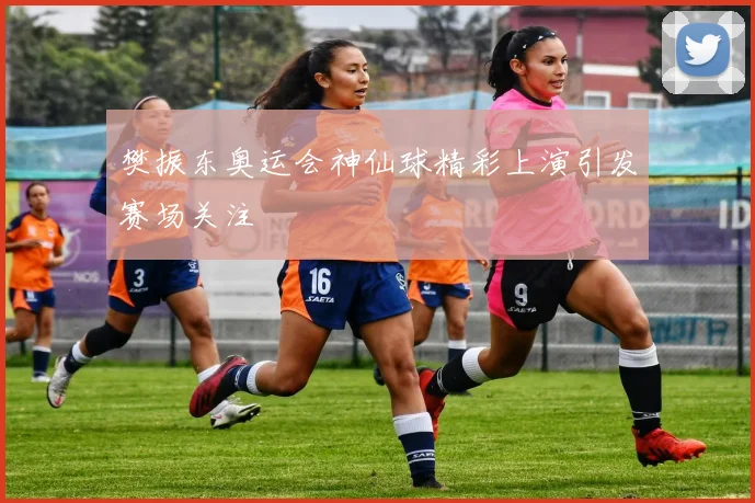 樊振东奥运会神仙球精彩上演引发赛场关注