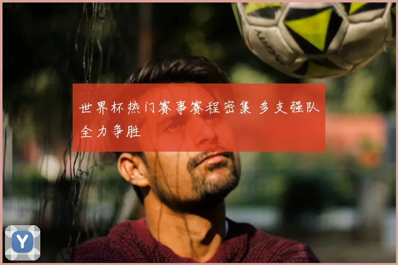 世界杯热门赛事赛程密集 多支强队全力争胜