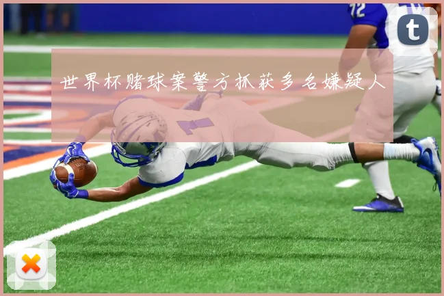 世界杯赌球案警方抓获多名嫌疑人