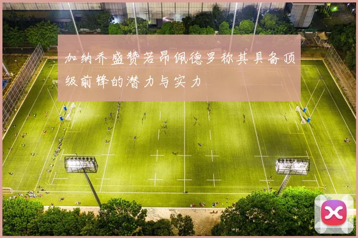 加纳乔盛赞若昂佩德罗称其具备顶级前锋的潜力与实力