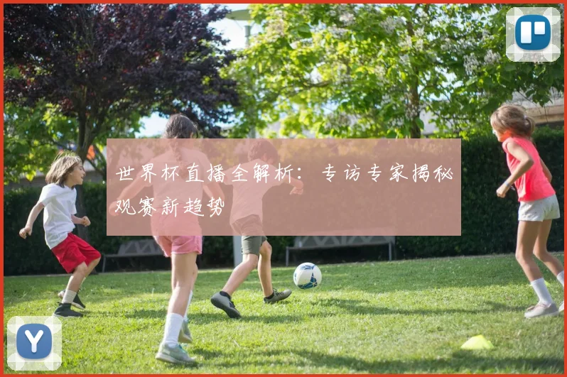 世界杯直播全解析:专访专家揭秘观赛新趋势